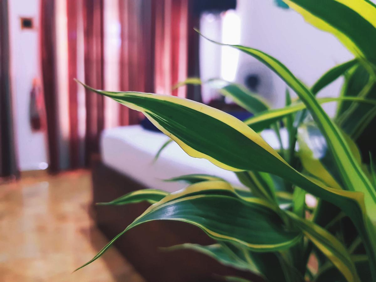 Leisure Dream Inn Ella Bagian luar foto